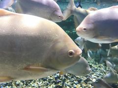 -成都浩海立方海洋公园