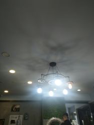 -红人馆造型十添