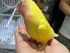 -三旗百汇商品城