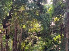 -华南国家植物园-售票处