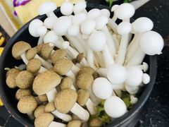 -新草堂锅物料理(泉城路店)