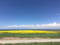 -青海湖国家重点风景名胜区