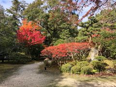 -醍醐寺