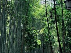 -敬亭山风景名胜区