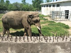 -西安秦岭野生动物园