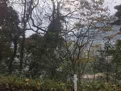 -广州市流溪河国家森林公园