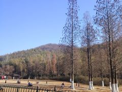 -南山风景名胜区