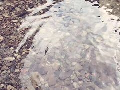 -宁波五龙潭景区