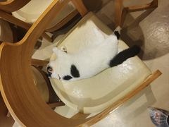 -藏猫猫咖啡主题馆(中央大道店)