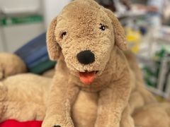 -宜家·瑞典风味餐厅(城际路店)