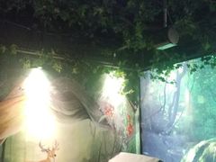 -上足·影院足道·SPA(红岭店)
