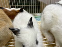 -南京时尚莱迪购物广场(正洪街店)