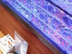 -山河屯铁锅炖鲜鹅·东北菜(开发区一店)