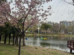 -新江湾城公园