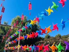 -北京西山国家森林公园