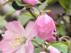 -龙湖冠寓(上海闵行星悦荟店)