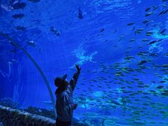 -华夏文旅海洋公园