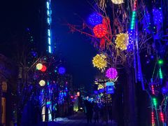-特克斯八卦城