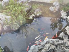 -道南書院·私房菜·早午茶·茶馆