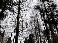 -庐山风景名胜区