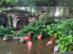-长鹿旅游休博园