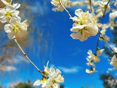 -中关村生命科学园