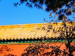 -故宫博物院(故宫)