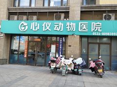-心仪动物医院·牙专科·肿瘤·心脏科(西客站院)