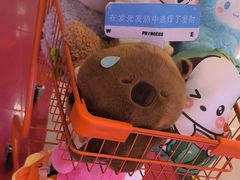 -可爱抓 COCO  GOTCHA(天津鹏欣水游城店)