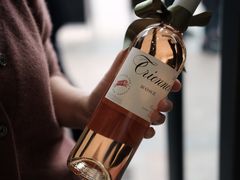 -隹木咖啡馆(宝龙广场店)