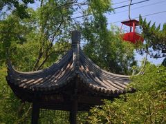 -大金山风景区