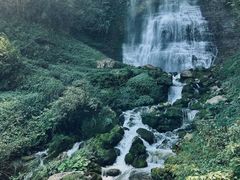 -鹿院坪生态旅游景区