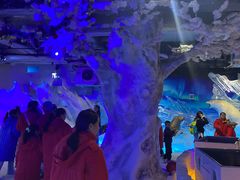 -海合安成都极地海洋公园