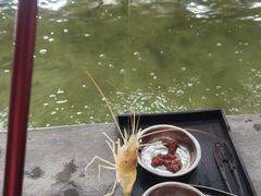 -光头佬室内钓虾场·烧烤·团建·亲子(中山八路店)