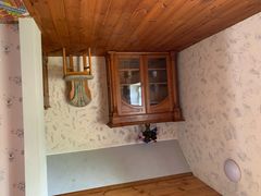 -金山农民画村-枫泾波兰倒置屋