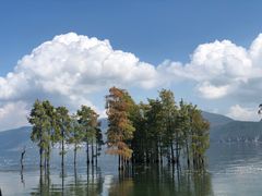 -大理洱海