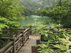 -白马涧龙池景区