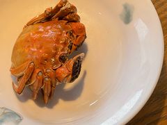 -扬州狮子楼·非遗淮扬菜(东关街店)