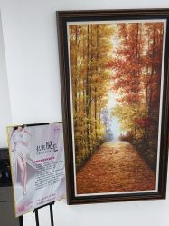 -薇兰专业脱毛连锁机构