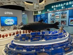 -千岛湖鱼味馆(十字街总店)