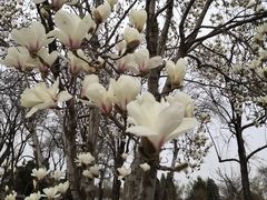 -国家图书馆·古籍馆