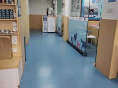 -宠颐生猫科·内科皮肤科(西平世纪城店)