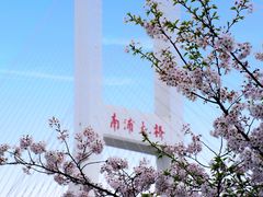 -上海南浦大桥长途旅游客运站