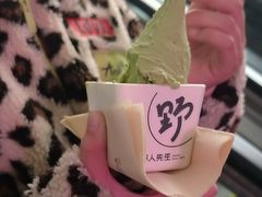 -野人先生现做冰淇淋(北京顺义祥云小镇店)