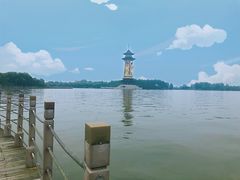 -溱湖国家湿地公园