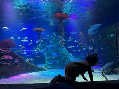 -沈阳海洋探索中心