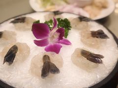 -沙龙酒家