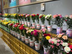-大悦城(沈阳中街店)