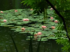 -白鹭湾湿地公园