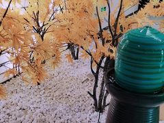 -汤里来温泉
